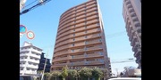 パノラマのサムネイル画像