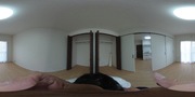 パノラマのサムネイル画像