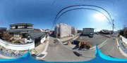 パノラマのサムネイル画像
