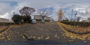 パノラマのサムネイル画像